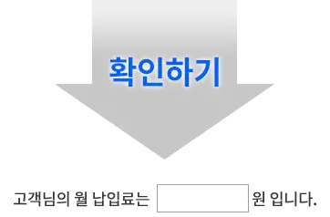 결과보기